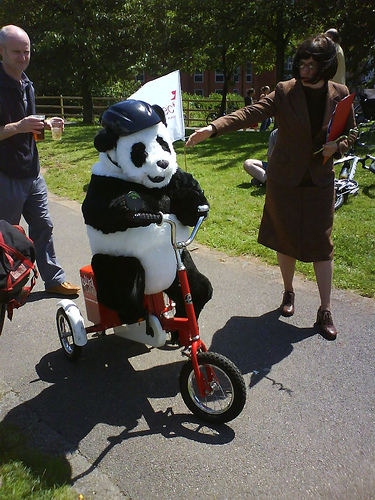 Fahrrad-fahrender-Panda